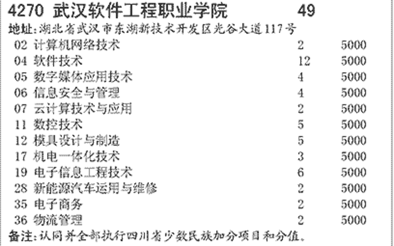 武汉科技公司的成长之道