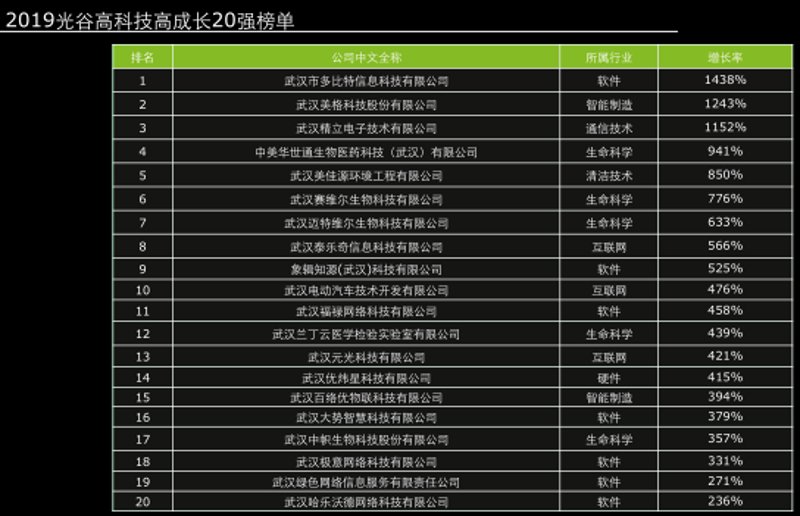 武汉科技公司的崛起：行业分析
